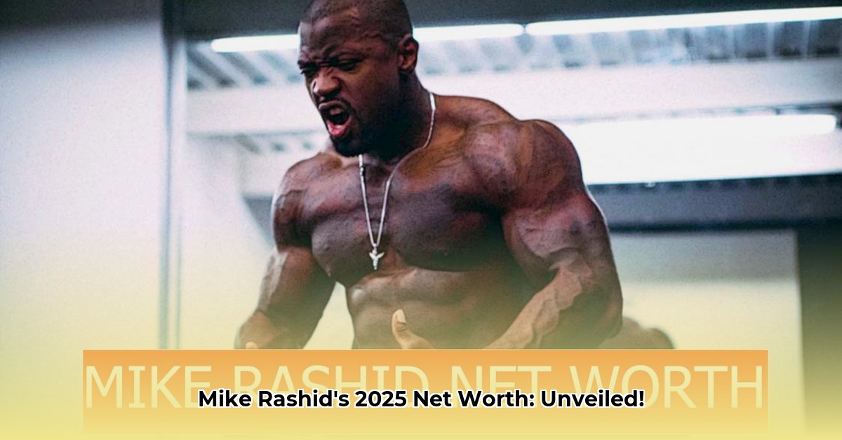 mike-rashid-net-worth